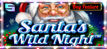 Santa's Wild Night