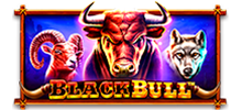 Black Bull