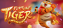 Fortune Tiger