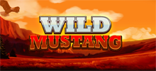 Wild Mustang