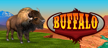 Buffalo