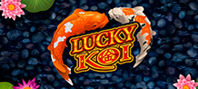 Lucky Koi