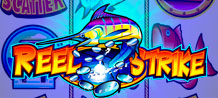 Place your bets and spin the Reel Strike reels!<br/>
In this game you can use 5 reels and 15 paylines simultaneously to improve your chances of fishing and getting a bite! Get ready to have fun as you cast the right bait that can net you a big win of up to 10,000x your stake.<br/>
<br/>
For fishing fans this is a must play game.