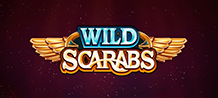 Wild Scarabs